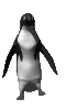 Big Penguin