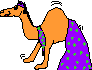 Camel Thumbnail